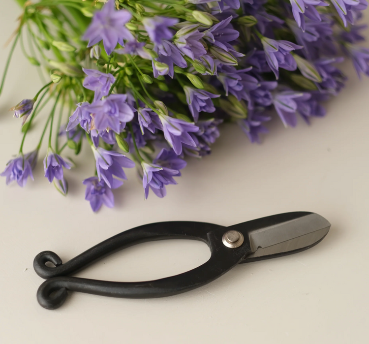 Outillage et accessoires